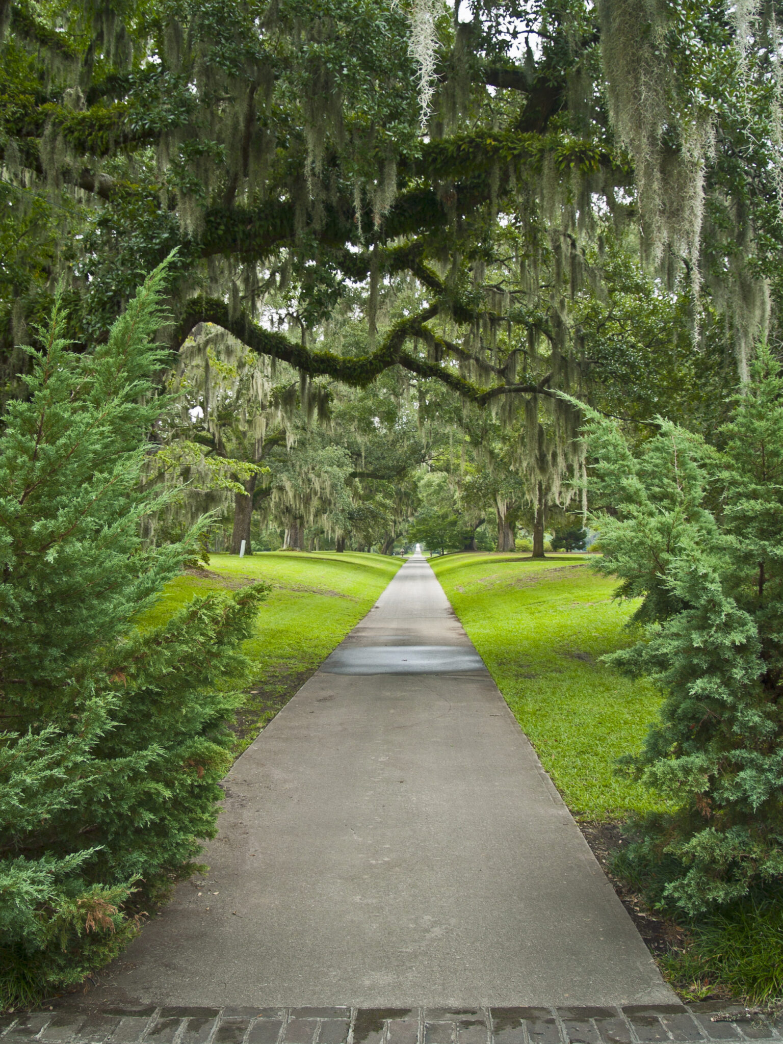 Visit Brookgreen Gardens | Hours, Special Events & Exhibits