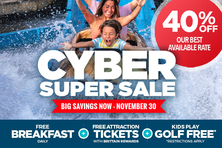 Cyber Super Sale - 40% OFF